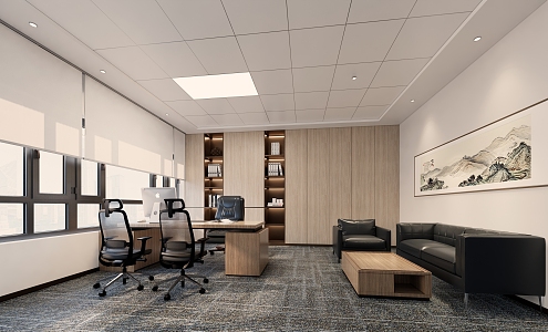 Modern Office Manager's Office Leadership Office 3d model