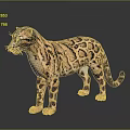 Realistic Spotted Wild Cat with Brown And Black Patterned Fur Standing on Dark Reflective Surface