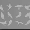 Twelve White Flying Bird Silhouettes on Grey Background with Various Poses