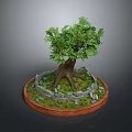 Potted Tree With Exposed Roots Green Foliage Grass Stone Surround And Circular Red Border