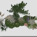 Lush Natural Garden Scene With Diverse Green Plants Colorful Flowers And Shrubs