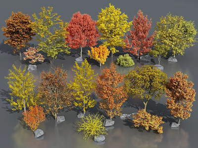 Various Sizes Colorful Trees with Red Yellow Orange Green Foliage and Stones 3d model
