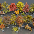 Various Sizes Colorful Trees with Red Yellow Orange Green Foliage and Stones