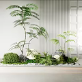 Natural Indoor Residential Landscape Design Featuring Green Plants Rocks Moss White Wall And Door