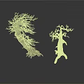 Two Dead Leafless Trees With Rough Trunks One Large Leaning And One Small Upright