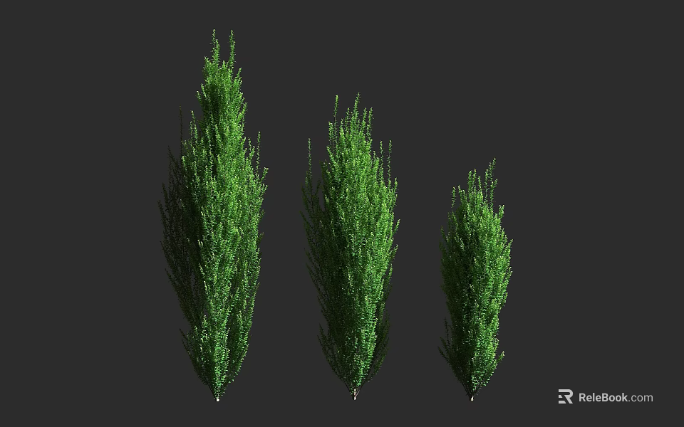 Three Lush Green Shrubs of Different Heights for Garden Landscaping Design 3d model 