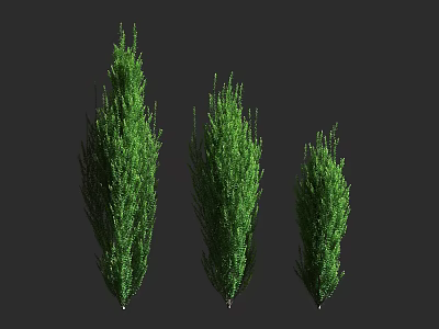 Three Lush Green Shrubs of Different Heights for Garden Landscaping Design 3d model