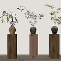 Three Bonsai Plants in Dark Ceramic Pots on Wooden Pedestals Minimalist Interior