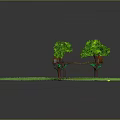 Green Grassland Featuring Wooden Bench And Two Trees In Scenic View