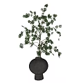 Dark Terracotta Vase With Lush Green Leaves And Decorative Plant Branches