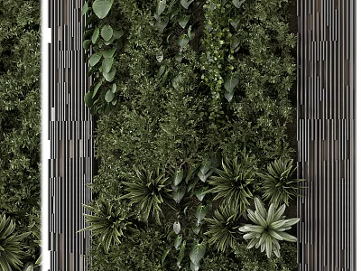 Vertical Garden Wall Decor With Various Green Plants 3d model