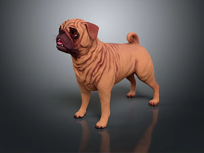 Light Brown Pug Dog 3D Model With Wrinkled Skin Standing On Dark Background 3d model