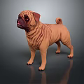 Light Brown Pug Dog 3D Model With Wrinkled Skin Standing On Dark Background