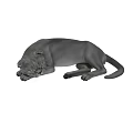 Small Gray Reptile Curled Up Tightly Sleeping Peacefully On White Surface 3d model