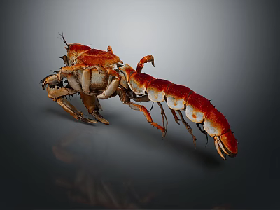 Red Lobster 3D Model With Detailed Claws And Segmented Body On Dark Background 3d model