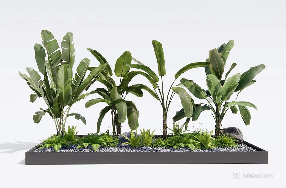 Tall Green Plants With Large Leaves In Black Planter Box Small Greenery And White Pebbles 3d model 