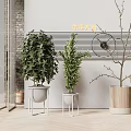 Various Bonsai Potted Plants With Stylish Planters In Modern Interior 3d model