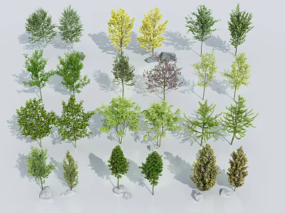 Various Types of Arbor Trees With Green Yellow Purple Foliage and Stones 3d model