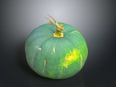 Fresh Organic Green Pumpkin With Natural Stem And Shiny Surface On Dark Background 3d model