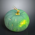 Fresh Organic Green Pumpkin With Natural Stem And Shiny Surface On Dark Background