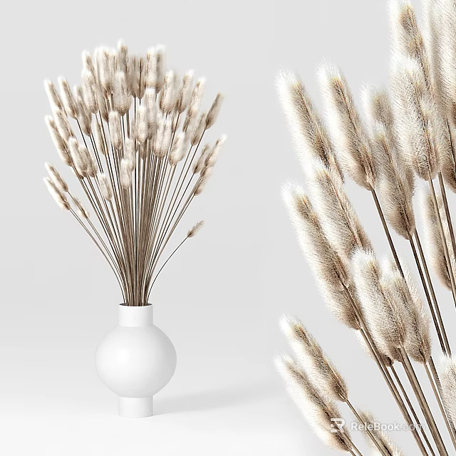 White Vase Holding Fluffy Pampas Grass Flowers On Clean White Background 3d model 