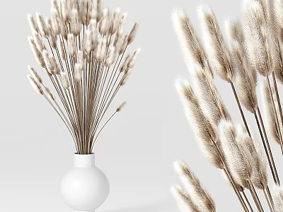 White Vase Holding Fluffy Pampas Grass Flowers On Clean White Background 3d model