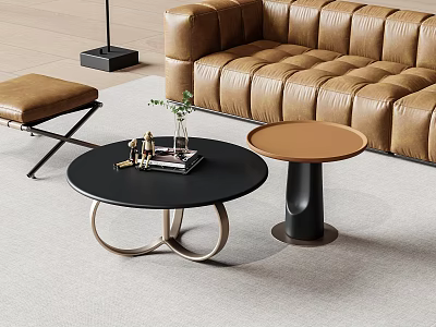 Modern Living Room With Round Black And Brown Coffee Tables Leather Sofa And Floor Lamp 3d model