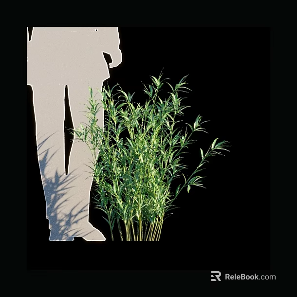 Lush Green Bamboo Clump Growing With Silhouette Figure On Black Background 3d model 