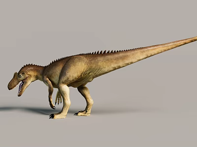 Reptile Dinosaur Standing With Open Mouth Long Tail And Scaly Skin Details 3d model