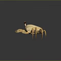 Golden Crab with Red Eyes and Detailed Claws on Dark Reflective Surface