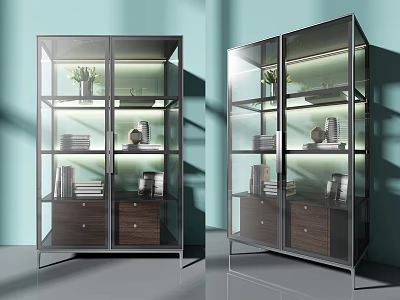 Modern Bookcase with Glass Doors Metal Frame Shelves Books Decor and Built-in Lighting 3d model