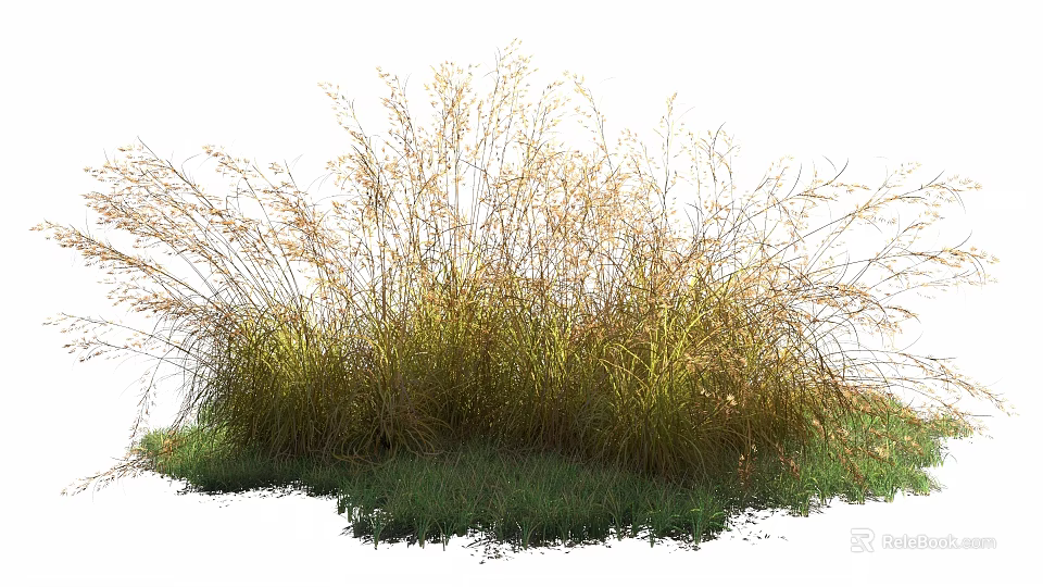Naturally Growing Lush Grass Cluster with Green Blades and Yellow Seed Heads 3d model 