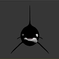 Black And White Orca With Dorsal Fin In Swimming Pose On Gray Background