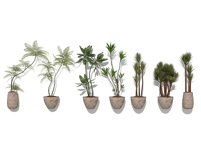Hanging Potted Plants With Various Species In Light Colored Pots Neatly Arranged On Wall 3d model