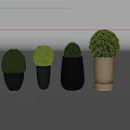 Potted Bonsai Plants In Various Shaped Black And Copper Pots With Round Green Foliage