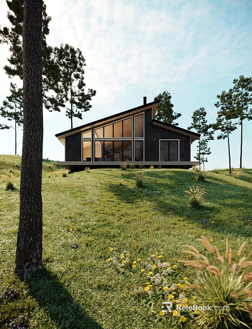 Modern Single Family Villa In Grassland With Tall Trees 3d model 