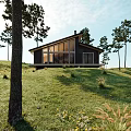 Modern Single Family Villa In Grassland With Tall Trees