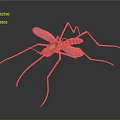 3D Rendered Mosquito With Golden Head Long Legs Transparent Wings And Striped Body