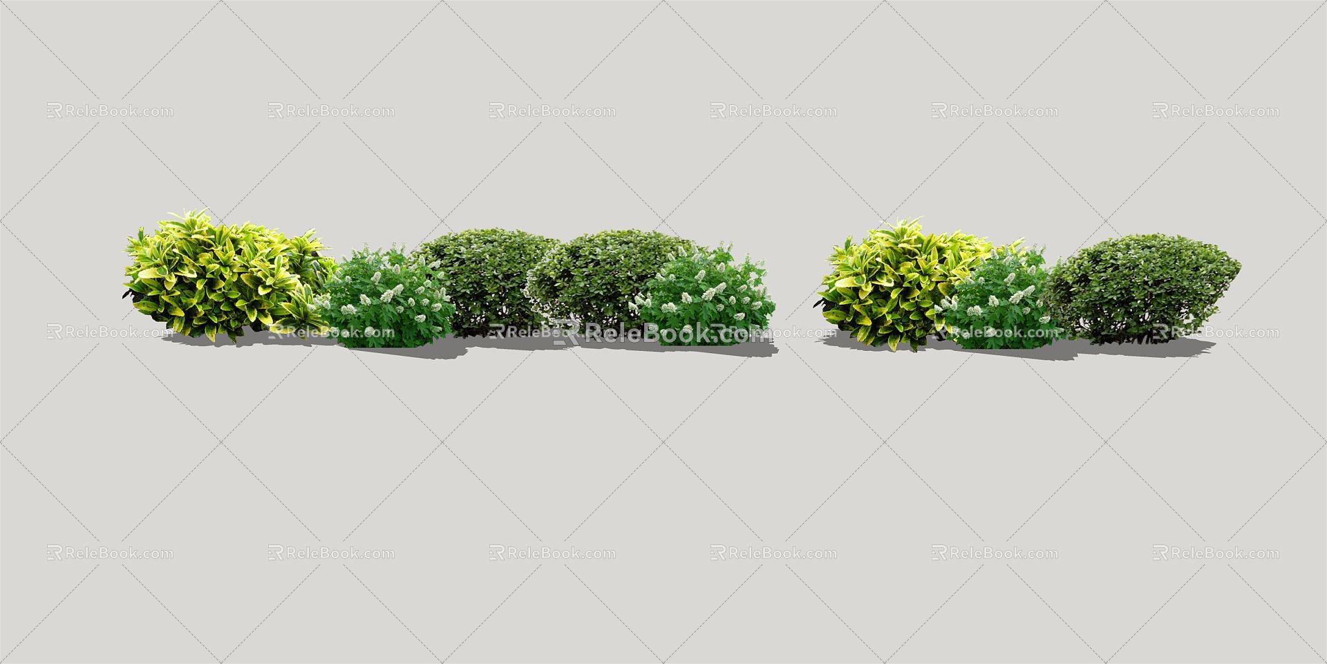 Modern shrub landscape plants model