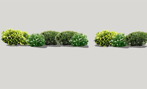 Modern shrub landscape plants 3d model