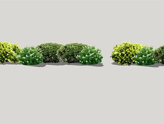 Modern shrub landscape plants 3d model