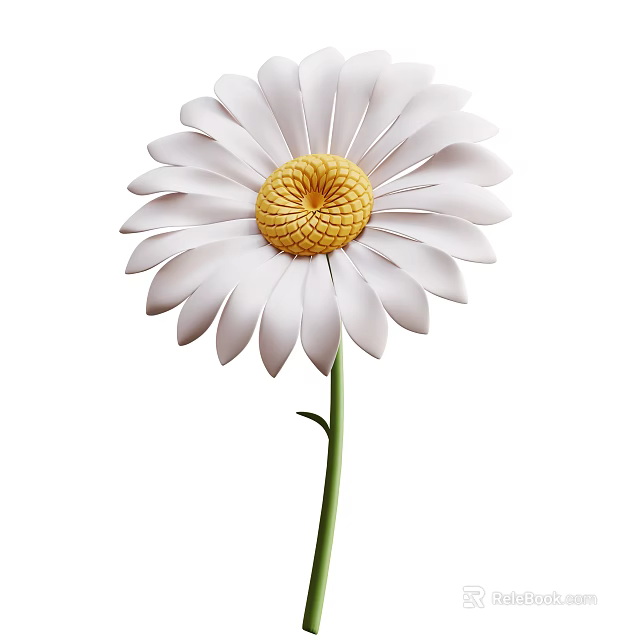 Stunning White Daisy Plant In Full Bloom With Yellow Center And Green Stem 3d model 