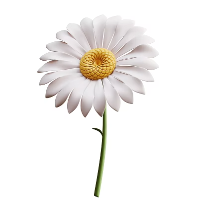 Stunning White Daisy Plant In Full Bloom With Yellow Center And Green Stem 3d model