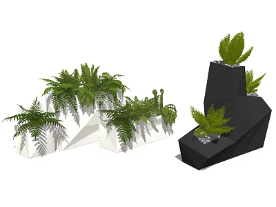 Modern Geometric Bonsai Potted Plants With White Black Planters And Ferns 3d model