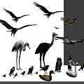 Collection of Various Birds And Small Animals Flying And Standing On Gray Background