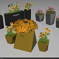 Garden Decorations Featuring Colorful Flower Pots With Blooming Flowers In Various Shapes