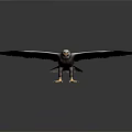 Majestic Bald Eagle Spreading Wings Standing On Dark Background With Reflection 3d model