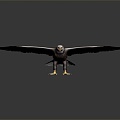 Modern Eagle Golden Eagle 3d model