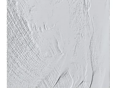 White Textured Wall Decor With Handcrafted Artistic Plaster Relief Design 3d model
