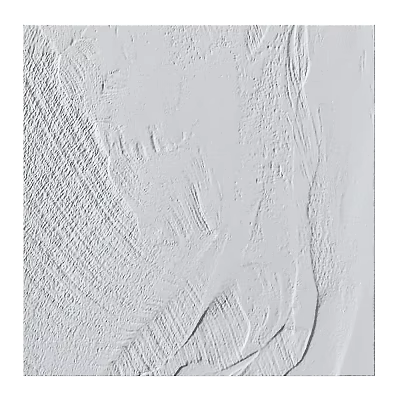 White Textured Wall Decor With Handcrafted Artistic Plaster Relief Design 3d model